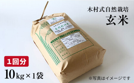 10月発送 3回定期便 ヒノヒカリ 玄米 10kg 玄米 CBR009