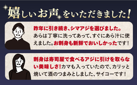 土日お届け シマアジ 堪能6点セットCBW012 アジ