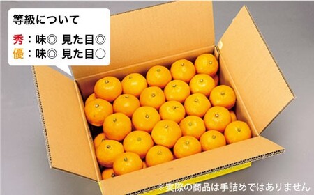 訳あり 西海1号 温州みかん 10kg 優品 Sサイズ みかん CCF002