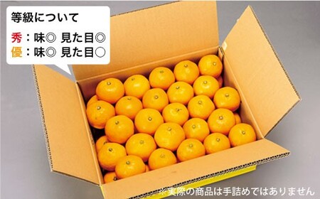 先行予約 秀品 西海1号 温州 みかん 5kg Mサイズ みかん CCF005