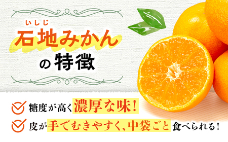 先行予約 石地みかん 特秀品 8kg 傷み保証分含む CCT008 みかん みかん
