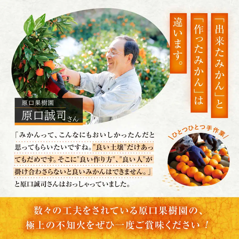 デコポン 不知火 3kg ＜原口果樹園＞ CCW005 デコポン みかん