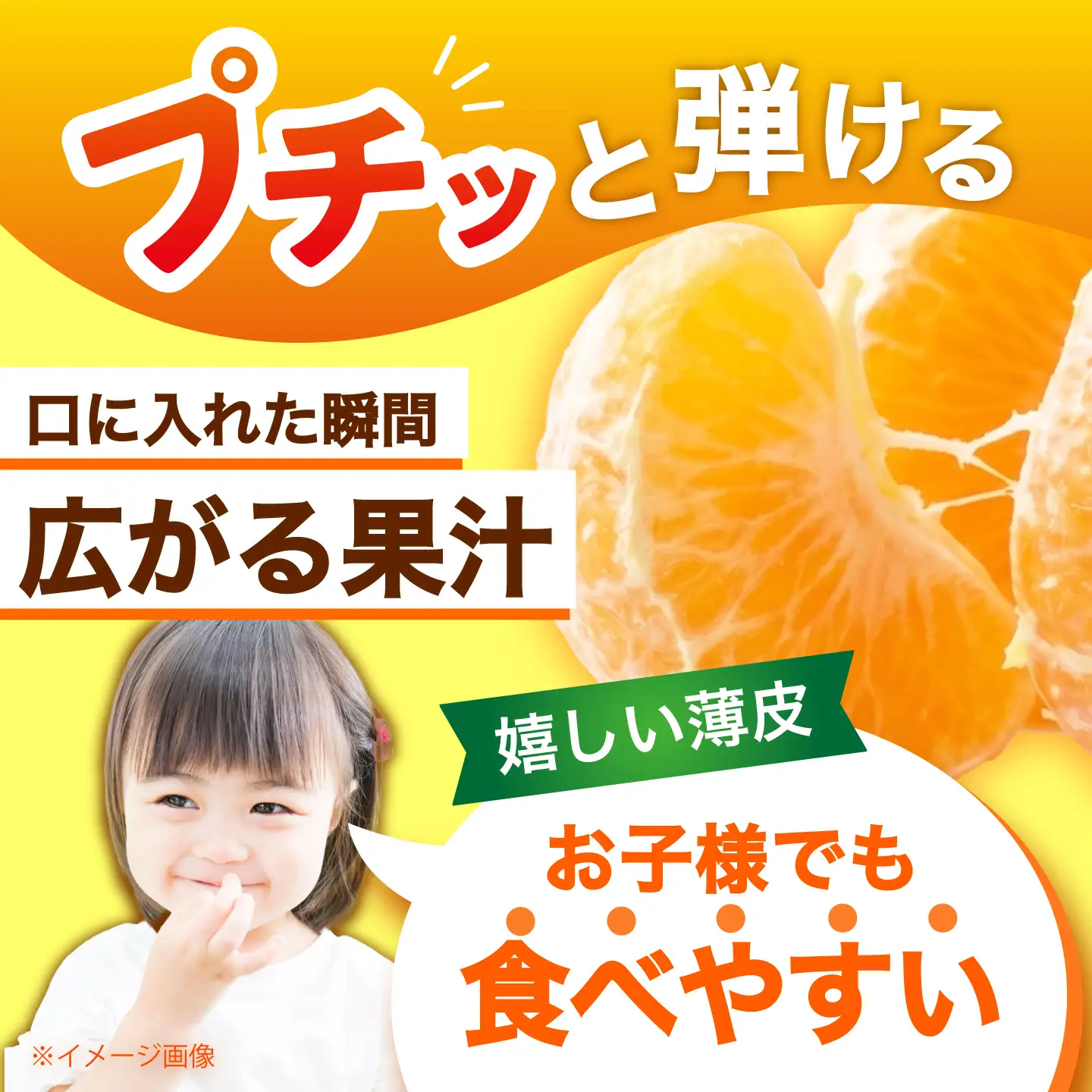 原口みかん 約5kg [CCZ004]  みかん