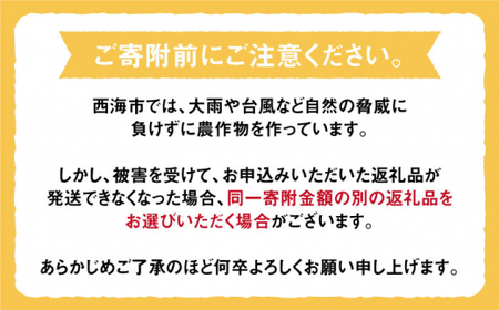 みかん 西海 【☆先行予約☆】 原口みかん 約5kg   西海市 贈答 ギフト 家庭用＜中尾果樹園＞ [CEL001]