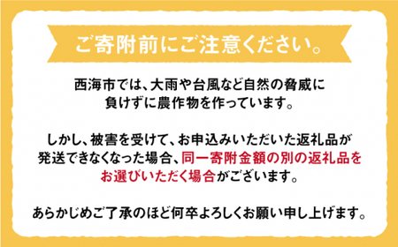 みかん 西海 【☆先行予約☆】 石地 みかん 約5kg  みかん 西海市  贈答 ギフト 家庭用 ＜中尾果樹園＞ [CEL002]