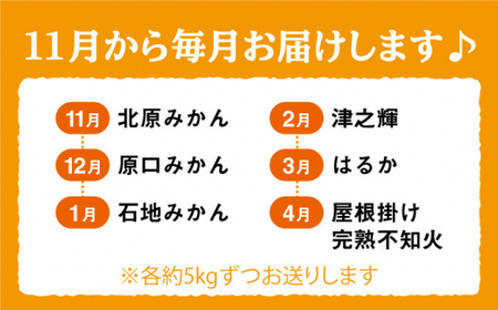 みかん 【11月から毎月届く♪6回定期便】 旬の みかん 定期便 西海市 蜜柑 柑橘 定期便＜中尾果樹園＞ [CEL005]