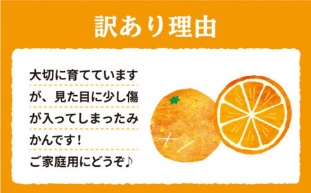 みかん 西海市 【 訳あり 】 原口みかん 約5kg 西海市 贈答 ギフト 家庭用 みかん＜中尾果樹園＞ [CEL007]
