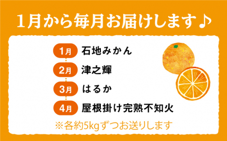【1月から毎月届く♪4回定期便】旬の みかん 定期便 西海市 みかん 蜜柑 柑橘 みかん  定期便 ＜中尾果樹園＞ [CEL008]
