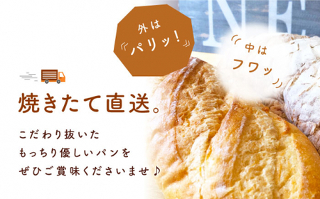 【12回定期便】 フランス パン 2本[CFL025] パン