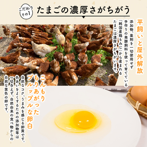 定期便 平飼い有精卵 滋賀竜王卵 20個 × 6ヵ月 ※割れ保証各3個 ( こんもり盛り上がるプルプルな卵白 滋賀竜王卵 新鮮 平飼い 卵 純国産 鶏もみじ 大人気 たまご 鶏卵 卵黄 エッグ 希少 たまごかけ ご飯 玉子 タマゴ 玉子焼き たまご焼き すき焼き 鶏 ケーキ 産地直送 国産 滋賀県 竜王町 ふるさと納税 )