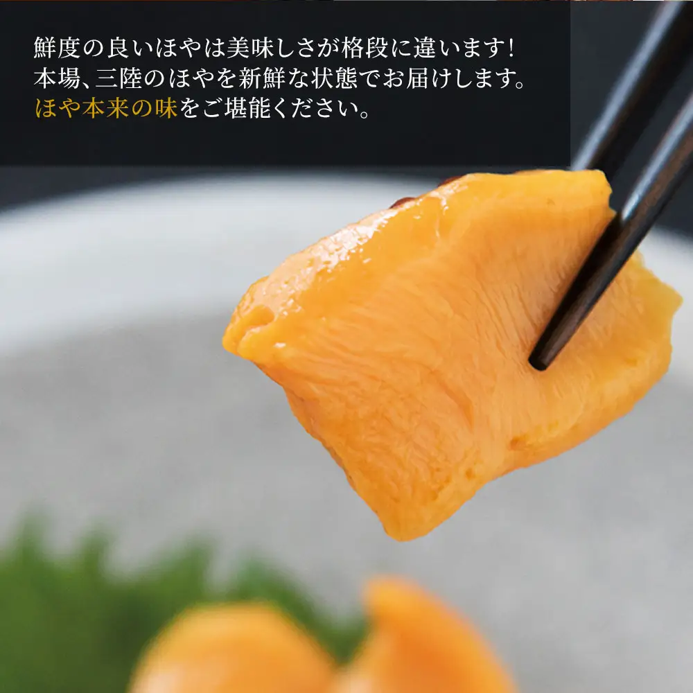 fn-39-019 殻付きほや 【5月中旬～7月末頃期間限定 お届け便】ヤマキイチ商店  珍味 三陸 刺身 魚介