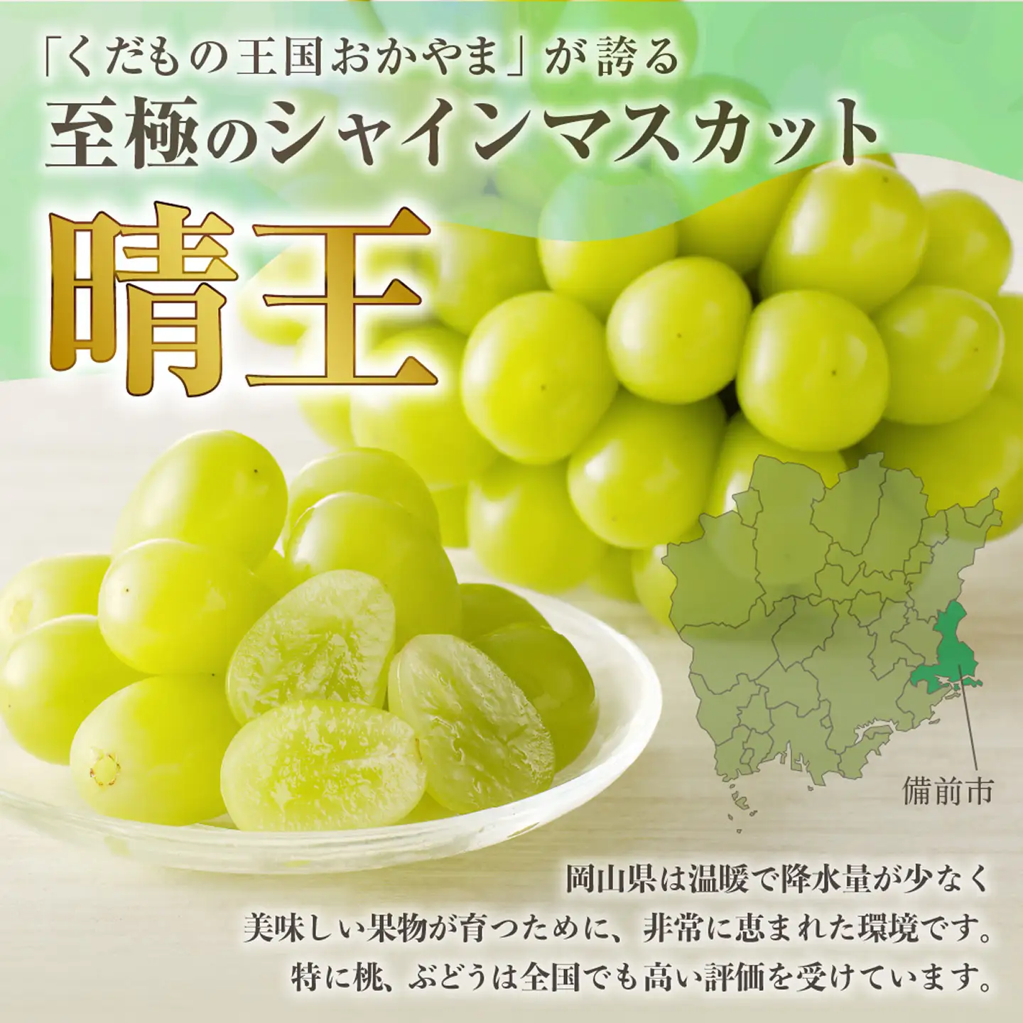 2027年発送 定期便 岡山県産 シャインマスカット 晴王 秀品 大房 約5kg・5～9房目安×10回発送【シャインマスカット】