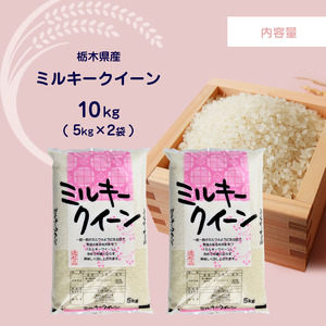 【定期便3回】 栃木県産ミルキークイーン 10kg | 米 おすすめ 米 rice 精米 白米 ご飯 もちもち 国産 送料無料 ふるさと納税  栃木県共通返礼品