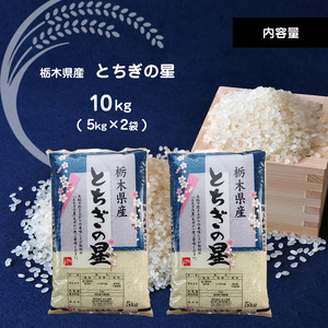 栃木県産とちぎの星 10kg | お米 米 こめ おにぎり ごはん ご飯 令和6年産 栃木県 真岡市 ブランド米 栃木県共通返礼品