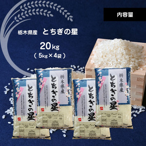 【定期便3回】栃木県産とちぎの星 20kg | お米 米 こめ おにぎり ごはん ご飯 令和6年産 栃木県 真岡市 ブランド米 栃木県共通返礼品