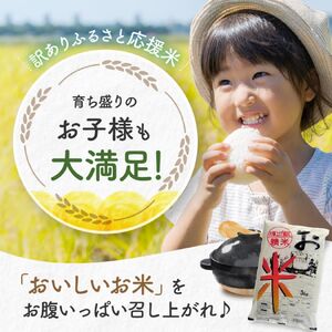 【定期便6回】栃木県産ブレンド米 15kg