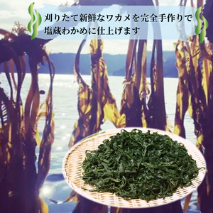 塩蔵わかめ 500g 100g×5袋 わかめ 海鮮 海藻 魚貝類 魚介類 小分け みそ汁 スープ 酢の物 三陸産 岩手県 大船渡市