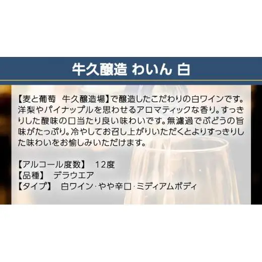 『 牛久醸造 わいん 』 山形デラウエア × 1本 茨城県産 牛久醸造場 日本ワイン ワイン 白ワイン 750ml