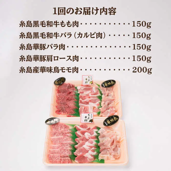 【全3回定期便】焼肉・バーベキュー セット 計800g 牛モモ 牛バラ 豚バラ 豚肩ロース 鶏もも肉 糸島市/糸島ミートデリ工房 [ACA272]