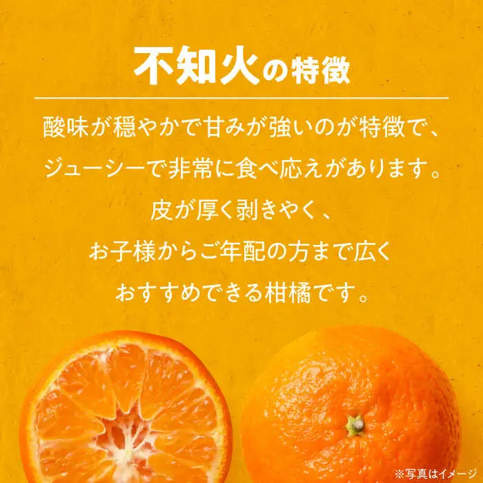 【不知火】 不知火 5kg しらぬい [AGBC003]
