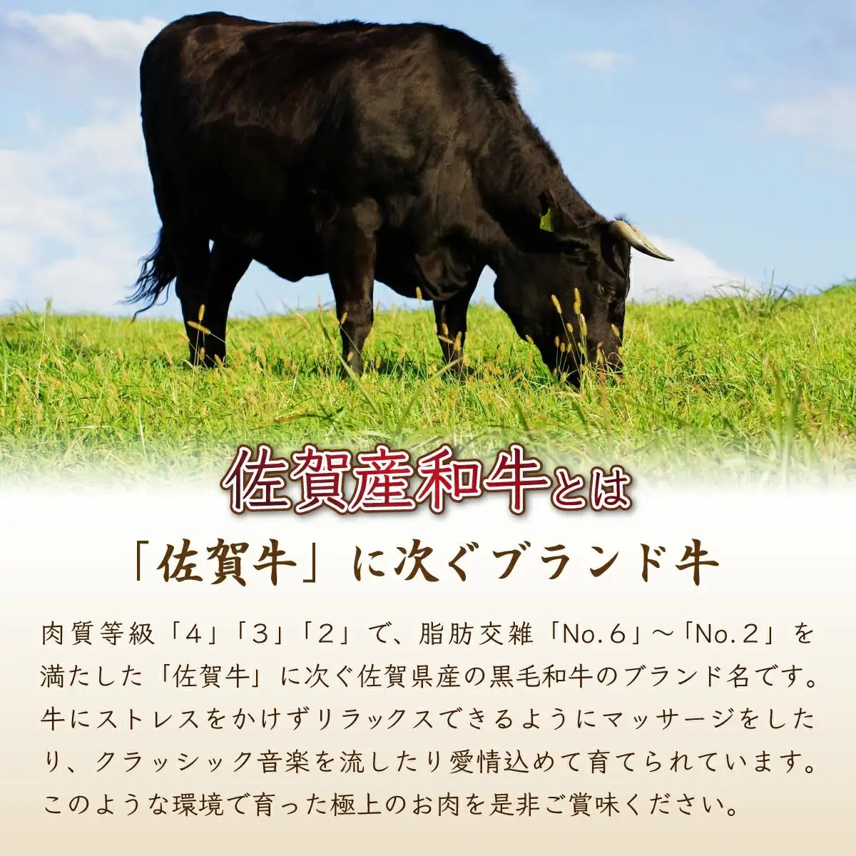 【佐賀産和牛】ハンバーグ 120g×10個  D-607