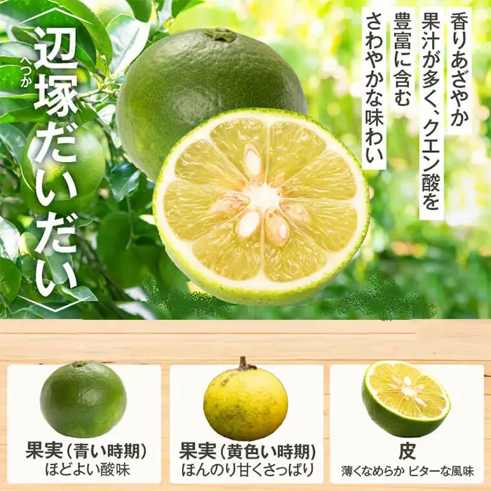 辺塚だいだい 青果 2kg 鹿児島 国産 橙 柑橘 果物 フルーツ【NPO法人 陸の宝島・岸良】P20001