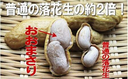 落花生 千葉県産 茹で落花生 おおまさり おつまみ つまみ ピーナッツ 豆 mi0012-0132