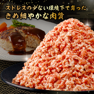 里見和豚　小分け　挽肉800g（100g×8パック）個別包装　トレイ不使用 mi0017-0007 ひき肉 ﾐﾝﾁ 豚 肉