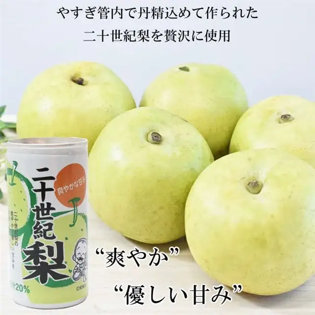 梨ドリンク 190g×30缶【ナシ 梨 二十世紀梨 20世紀 果汁 20% 果汁入り飲料 缶 さっぱり 爽やか 飲みやすい 大容量 おすそ分け ドリンク ジュース 飲料 みずみずしい 夏 フルーツ さわやか 甘み プレゼント ギフト 贈り物 贈答用 ご自宅用 島根県 安来市】【13-JY-18】