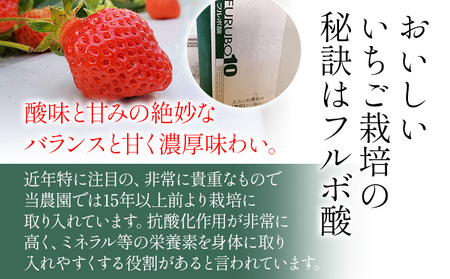 荒巻エコタロウ農園のからだが喜ぶお試し定期便(2025年1月～3月発送)　BJ07
