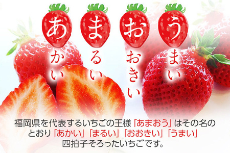 荒巻エコタロウ農園のぜいたく定期便（あまおう約300g×3回）【2026年2月～3月】　BJ08