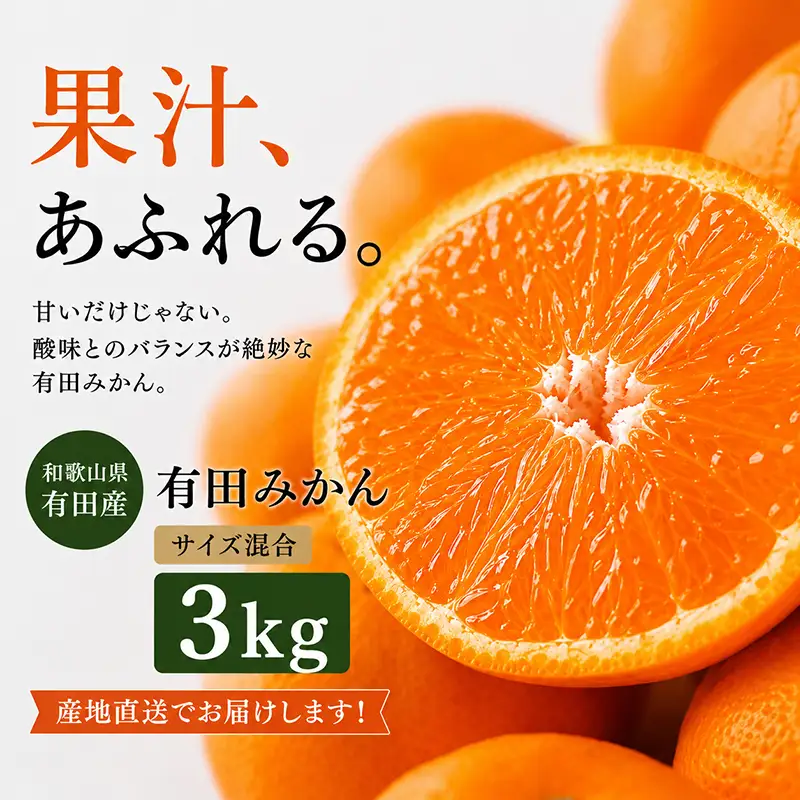 真農園 有田みかん 家庭用 約3kg 濃厚完熟 お試しサイズ （ご家庭用　2Sサイズ～Lサイズ混合）ORYY推奨_DA6108n