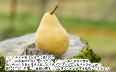 ルレクチェ 2kg 家庭用 レクチェ ル・レクチェ 洋梨 セット 洋ナシ 梨 なし ナシ フルーツ 果物 デザート おやつ 国産 新潟 