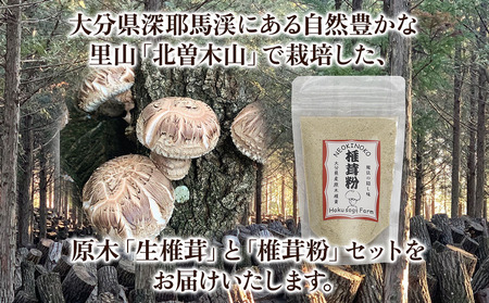 原木生椎茸 どんこ大 400g 以上と 椎茸粉 30g セット | きのこ しいたけ 生しいたけ 乾しいたけ 干し椎茸 乾燥しいたけ 粉 粉末 詰め合わせ 大分県産 九州産 国産 大分県 中津市