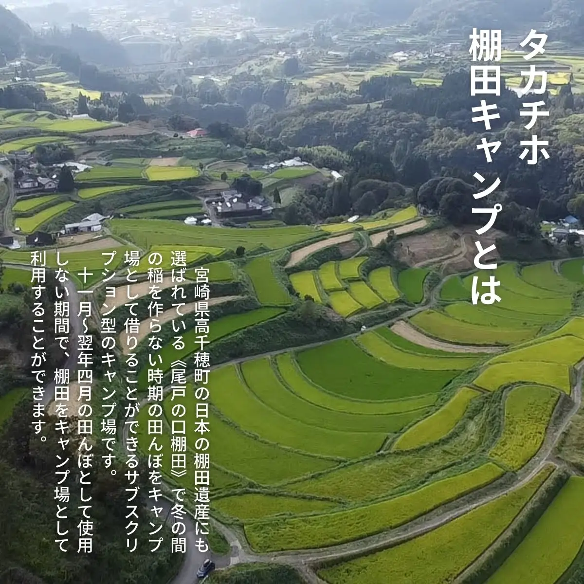高千穂の絶景棚田キャンプ［グループプラン］寄付された方（1名）+お連れ様（4名）キャンプ グループプラン キャンプファイヤー 絶景 サブスクリプション型 棚田 高千穂_Tk037-002
