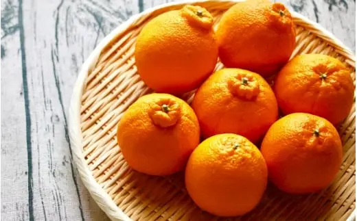  甘みと旨味がぎゅっと詰まった逸品！越冬完熟「きみのデコ」(デコポンと同品種) 4.5kg サイズ混合 L以上 ご家庭用(秀優混合) / デコポン 不知火 柑橘  和歌山県 越冬 有機 【kmf003】