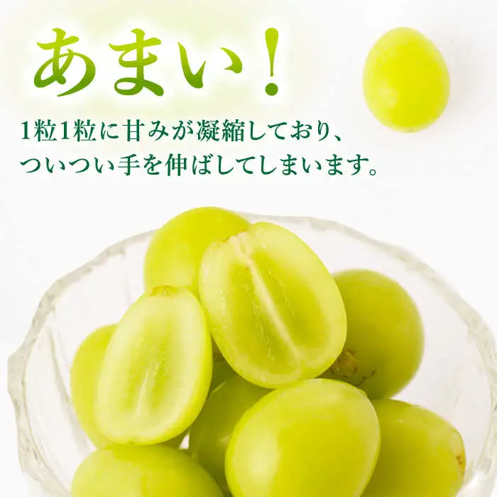 シャインマスカット 約2kg 九州産シャインマスカット /菓子工房ピュアハート [UDF002]