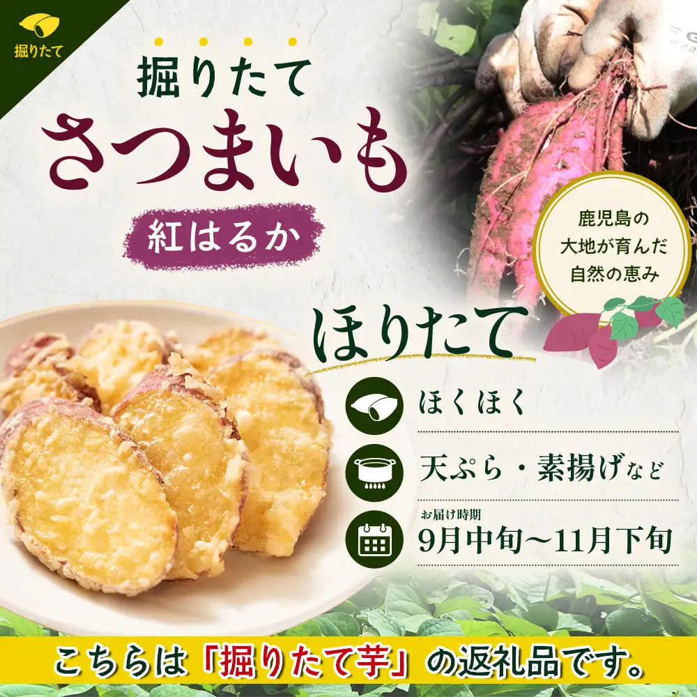 【先行予約：2026年9月中旬配送～】掘りたて さつまいも 紅はるか 3kg（Sサイズ）レシピ付き FR-201 | 秋の味覚 2026年秋収穫 新物 さつまいも サツマイモ 感動サツマイモ 焼き芋 べにはるか 小ぶり 野菜 おやつ おかず お弁当 煮物 芋ごはん 味噌汁 産地直送 鹿児島県 南大隅町 株式会社フォレスト