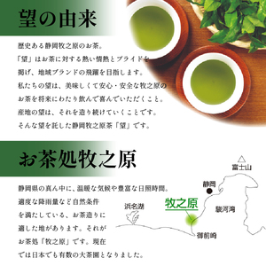 048-82　静岡牧之原市ブランド茶　望　銀印　ペットボトル用ティーパック（3.3ｇ×20包）5袋