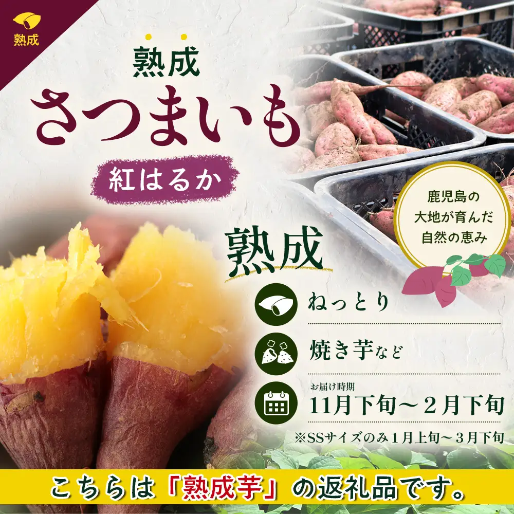 【先行予約：11月下旬配送～】熟成 さつまいも 紅はるか 3kg Mサイズ (美味しい焼き芋の焼き方 説明書付き） FR-213 ｜ 秋の味覚 2026年秋収穫 貯蔵 長期熟成 糖化 さつまいも サツマイモ 感動サツマイモ 焼き芋 べにはるか 使いやすい 野菜 ねっとり 濃厚 おやつ おかず お弁当 煮物 芋ごはん 味噌汁 産地直送 鹿児島県 南大隅町 株式会社フォレスト