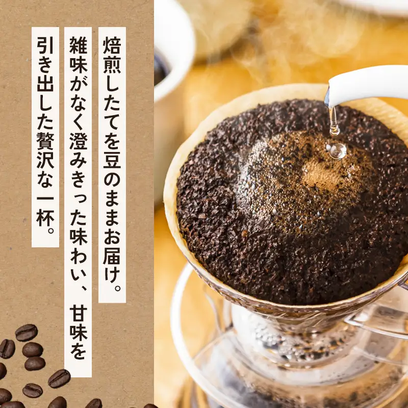 自家焙煎珈琲 こだわり コーヒー豆 600g （200g×3袋）