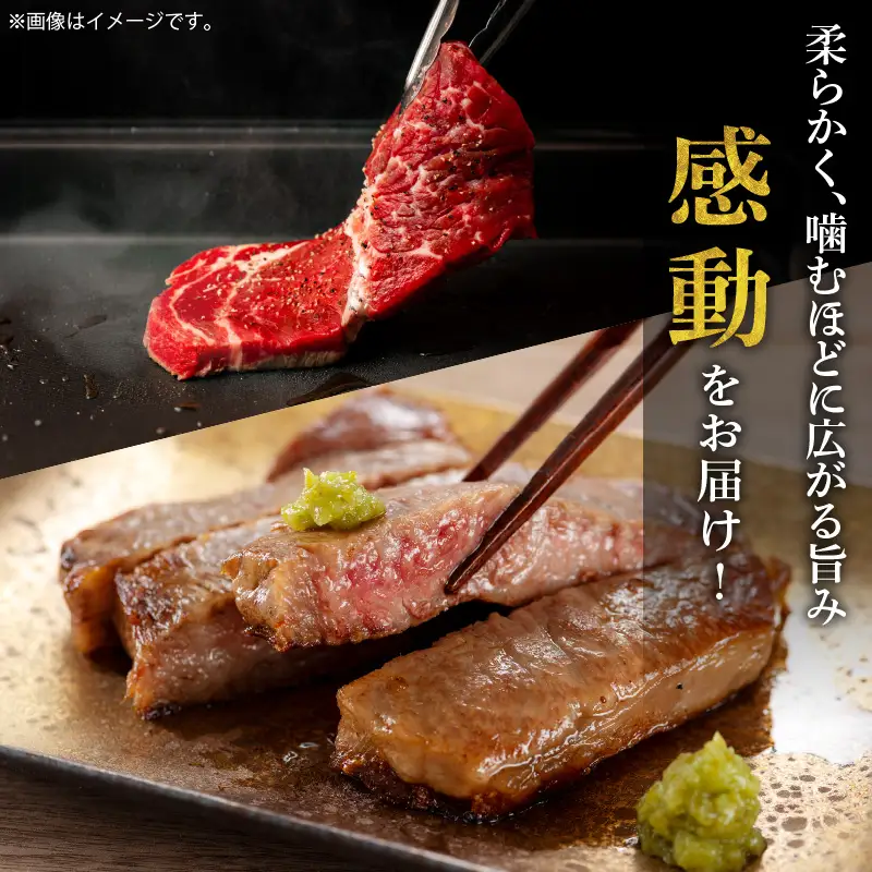 牛肉 ステーキ 牛肉[宮崎牛 モモ 800g]