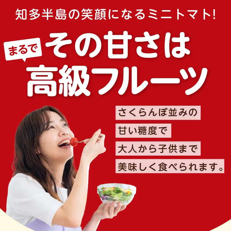 【先行予約】《11月中旬以降発送開始》有機栽培ミニトマト　知多アモーレトマト　約1kg｜トマト 知多市