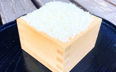  【R8年新米10kg】湘南生まれのお米「はるみ」〈出荷時期:2026年9月12日出荷開始～2026年12月26日出荷終了〉【 神奈川県 大磯町 米 お米 白米 白飯 コシヒカリ キヌヒカリ 交配種 甘み 期間限定 】