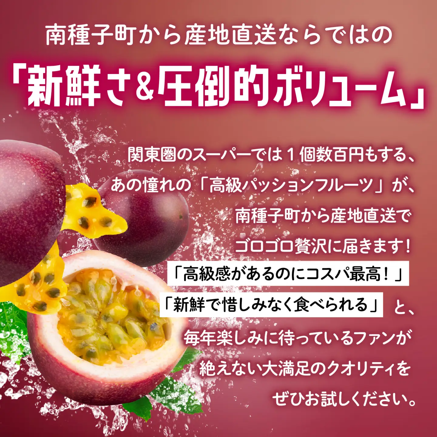 《令和8年産》 種子島産パッションフルーツ 2ケース ( 24個入り ) パッションフルーツ 果物 フルーツ 食品 グルメ お取り寄せ お中元 人気 おすすめ 返礼品 南種子町 鹿児島 かごしま 【有限会社新栄物産】
