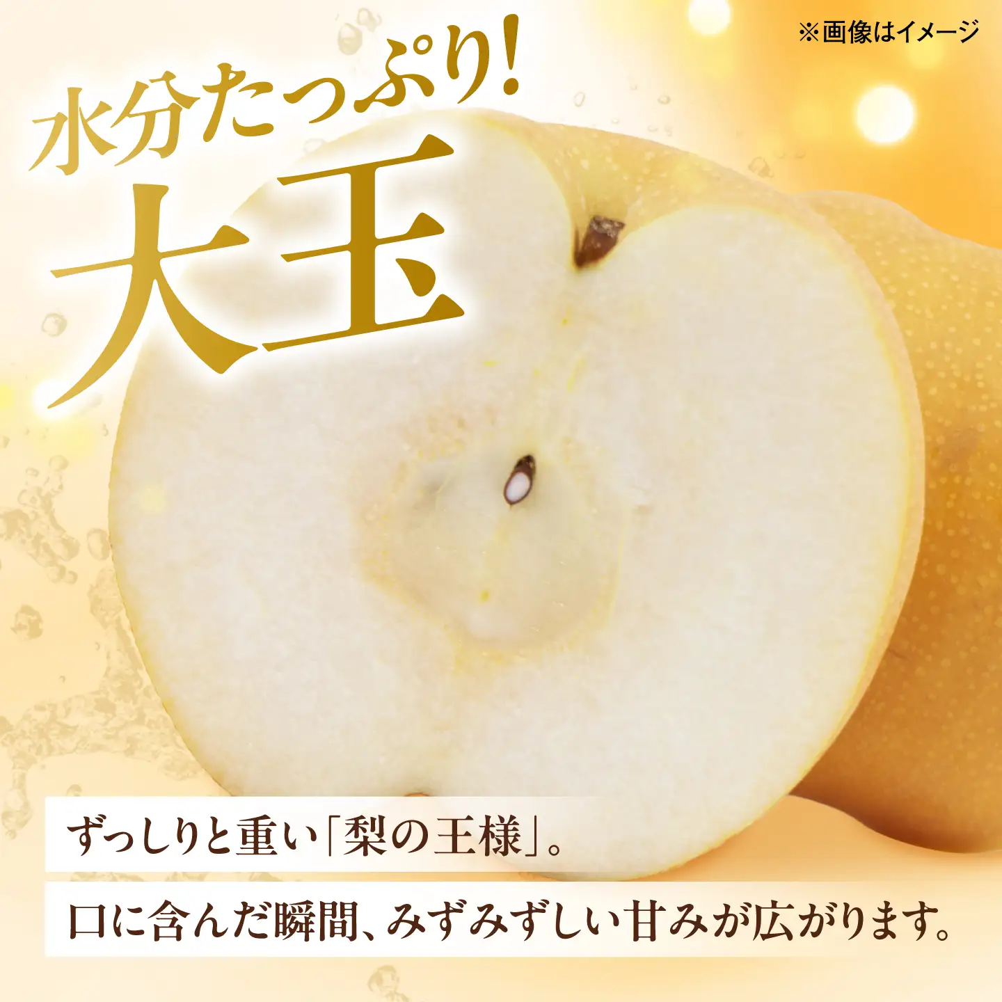 【先行予約】内子町産　新高梨【7-10玉】2026年9月下旬から発送 BKAY021 梨