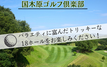 ゴルフ倶楽部平日プレー招待券 / ゴルフプレーチケット 和歌山 スポーツ 国木原 ラウンド 和歌山オープン PGA ギフト プレゼント【knh001】