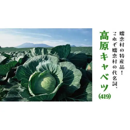 【 8月下旬発送開始 】 嬬恋キャベツ と旬の 高原 野菜 セット 1～2人 様向け [AK001tu]