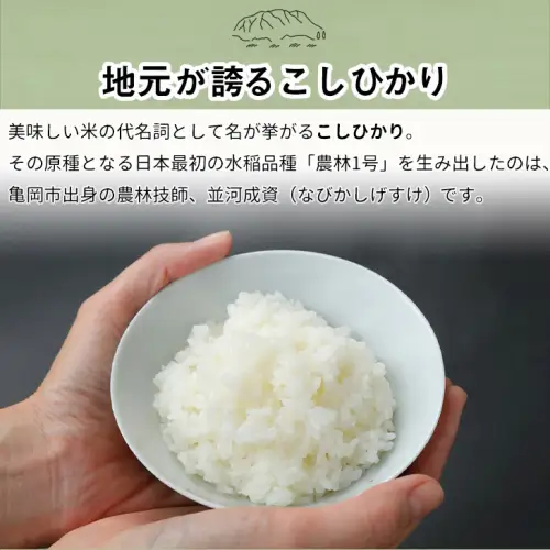 米 コシヒカリ 5kg 精米 白米