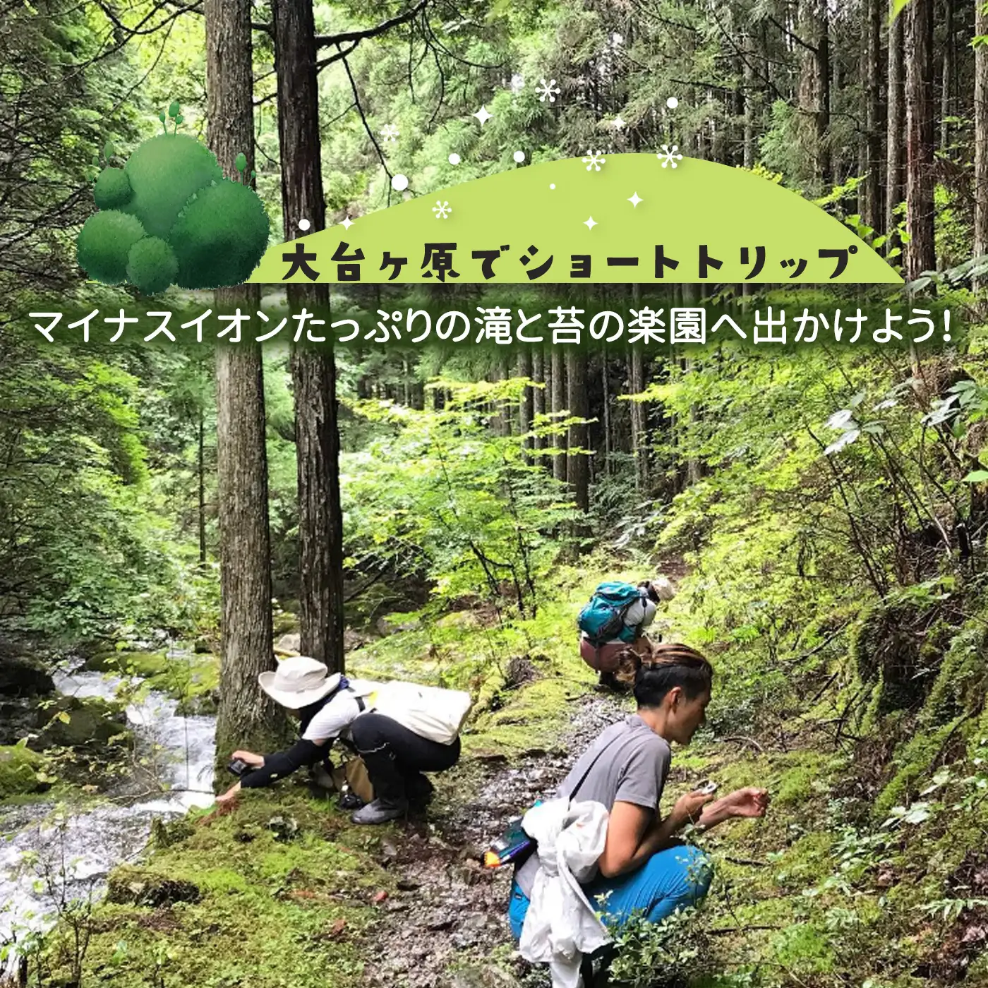 「マイナスイオンたっぷりの滝見学と苔観察」体験割引券（3,000円分）